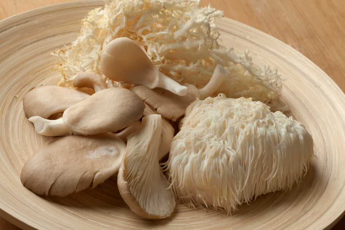 De kracht van mushrooms: Hoe paddenstoelen ons dagelijks leven kunnen verbeteren.